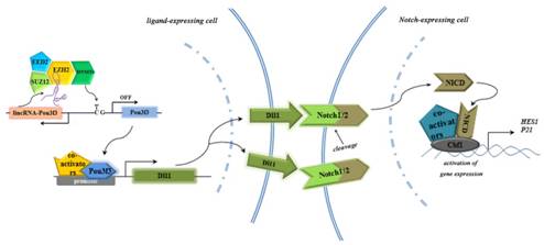 Supplemental Figure 1.jpg